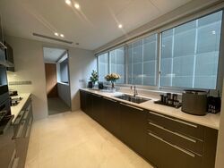 St. Regis Residences (D10), Apartment #484262981